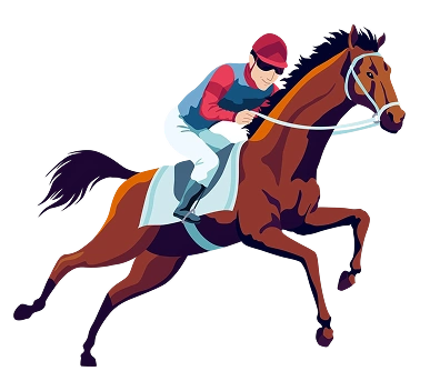 Le jockey monte un cheval brun.